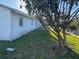 Large backyard with lush greenery, perfect for outdoor activities and enjoying nature at 704 Chippy Ln, Nokomis, FL 34275
