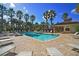 Community pool surrounded by lounge chairs and tropical palm trees at 7887 Limestone Ln # 12-102, Sarasota, FL 34233