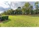 The backyard features a large lawn surrounded by mature trees at 11607 Meadowgate Pl, Bradenton, FL 34211