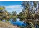 A pond reflects the trees on a sunny day at 3376 S Seclusion Dr, Sarasota, FL 34239