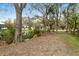Secluded backyard featuring mature trees and a serene waterfront view, creating a private oasis at 4540 Murdock Ave, Sarasota, FL 34231