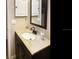 This features a vanity with decorative soap dispenser, framed mirror and wall cabinet at 5110 76Th E St, Bradenton, FL 34203
