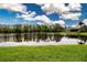 Scenic view of the pond, complete with lush grassy banks and mature trees at 5110 76Th E St, Bradenton, FL 34203