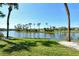 A lush backyard view with a picturesque lake, palm trees, and manicured lawn at 5250 Hyland Hills Ave # 1514, Sarasota, FL 34241