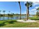 Breathtaking lake view with palm trees from the backyard; a tranquil and inviting outdoor space at 5250 Hyland Hills Ave # 1514, Sarasota, FL 34241