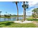 A serene backyard view with a tranquil lake, swaying palm trees, and manicured lawn at 5250 Hyland Hills Ave # 1514, Sarasota, FL 34241