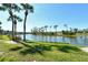Picture-perfect backyard showcasing a serene lake, lush landscaping, and swaying palm trees at 5250 Hyland Hills Ave # 1514, Sarasota, FL 34241