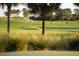 View of a golf course with palm trees at 5517 Palmer Cir # 203, Bradenton, FL 34211