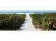 Sandy path leading to the beach, surrounded by lush greenery and native plants at 5740 Midnight Pass Rd # 402, Sarasota, FL 34242