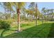 Lush backyard featuring well-maintained lawn and several attractive palm trees at 115 Solana St, North Port, FL 34287