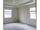 A bright, carpeted bedroom featuring a tray ceiling and two large windows at 13393 Golden Lime Ave, Spring Hill, FL 34609