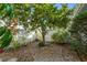 Cozy backyard space featuring a mature tree providing shade and a peaceful setting at 1354 Lucaya Ave, Venice, FL 34285