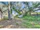 Large grassy backyard with mature trees, offering privacy and a serene outdoor space at 1410 24Th E Ave, Bradenton, FL 34208