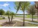 Scenic street view featuring well-maintained homes with palm trees, a pond, and a serene atmosphere at 16810 Scuba Crest St, Wimauma, FL 33598