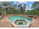 Screened-in pool and spa offer a private retreat, surrounded by lush greenery and blue skies at 402 Pine Ranch East Rd, Osprey, FL 34229