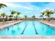 Resort style pool featuring a lap pool, beautiful blue water, and surrounding palm trees at 5433 Mystic Water Cv, Lakewood Ranch, FL 34211