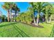 Lush backyard with well-manicured grass, palm trees, and an enclosed pool area for private outdoor enjoyment at 5709 Sunflower Cir, Sarasota, FL 34238
