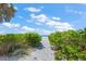 Sandy path through lush greenery leading to a serene beach, inviting exploration and relaxation at 691 & 681 Gulf Bay Rd, Longboat Key, FL 34228