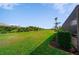 Large, green backyard with palm trees, ideal for outdoor living and enjoying the natural landscape at 8007 River Preserve Dr, Bradenton, FL 34212