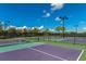 Community pickleball courts with green and purple surface surrounded by a black chain link fence at 8007 River Preserve Dr, Bradenton, FL 34212