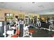 Bright community gym featuring modern equipment, mirrored walls, and natural light from large windows at 9441 Discovery Ter # 101A, Bradenton, FL 34212