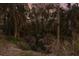 Secluded backyard with mature trees, a small creek, and a rustic hanging swing adding charm at 13608 11Th E Ter, Bradenton, FL 34212