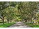 Scenic street view with a canopy of mature trees lining the roadway, beautiful landscaping on either side at 7623 Camminare Dr, Sarasota, FL 34238