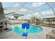 Screened-in pool features a basketball hoop and offers a fun and refreshing outdoor experience at 928 Spindle Palm Way, Apollo Beach, FL 33572