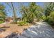 Well-maintained yard featuring mature palm trees, and space for outdoor recreation at 109 Burney Rd, Osprey, FL 34229
