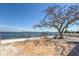 Beach house with outdoor patio area and private dock, with a waterfront view at 118 9Th N St, Bradenton Beach, FL 34217