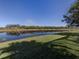 A tranquil view of a calm lake surrounded by lush greenery under a clear blue sky creating a peaceful atmosphere at 12022 Granite Woods Loop, Venice, FL 34292