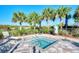 A spa with lush landscaping, lounge chair, palm trees, and clear blue water at 12448 Golden Sage Dr, Sarasota, FL 34238
