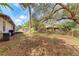 Spacious backyard with a wooden deck, shed, and mature trees at 1302 5Th W St, Palmetto, FL 34221