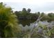 Tranquil pond surrounded by vibrant foliage, providing a calming natural backdrop at 1717 Alton Rd, Port Charlotte, FL 33952