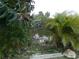 Scenic pond view with dense foliage, creating a private and tranquil atmosphere at 1717 Alton Rd, Port Charlotte, FL 33952