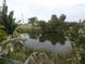 Peaceful pond view, surrounded by lush vegetation, offering a serene escape at 1717 Alton Rd, Port Charlotte, FL 33952