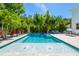 Inviting backyard pool surrounded by lush tropical landscaping, offering a serene and private oasis at 2283 Arlington St, Sarasota, FL 34239