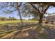 Scenic backyard view with mature trees looking out onto a green lawn and views of the open golf course at 3215 Pine Valley Dr, Sarasota, FL 34239