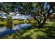 Community pond view framed by a large tree and lush green landscaping at 3933 Glen Oaks Manor Dr, Sarasota, FL 34232