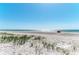 Beautiful white sandy beach with sea oats, perfect for relaxing and enjoying the ocean breeze at 5400 Gulf Dr # 35, Holmes Beach, FL 34217