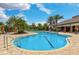 Community swimming pool with lounge chairs and palm trees at 5656 Cantucci St, Nokomis, FL 34275