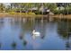 Scenic community pond with a pelican swimming peacefully in the calm waters reflecting the blue sky at 803 Audubon Dr # 803, Bradenton, FL 34209