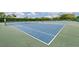 Well-maintained tennis courts with lush landscaping with an inviting atmosphere for players at 803 Audubon Dr # 803, Bradenton, FL 34209