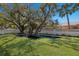 Spacious backyard with a unique water feature, lush green grass, and mature trees at 110 Faubel St, Sarasota, FL 34242