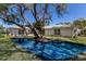 Gorgeous home backyard featuring a pool, mature tree and lush lawn at 110 Faubel St, Sarasota, FL 34242