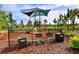 Playground with picnic area and charcoal grills at 15008 Trinity Fall Way, Bradenton, FL 34212