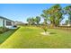 Large backyard with lush green grass and a young palm tree at 25259 Alcazar Dr, Punta Gorda, FL 33955