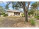 Large backyard with mature trees and a fire pit area, complete with colorful Adirondack chairs at 3189 Seattle Ave, North Port, FL 34286