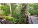 Lush backyard with mature trees and plants at 3333 26Th E Ave # 28, Bradenton, FL 34208