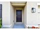 Close-up of a modern front door with contemporary light fixture and neutral paint at 4918 Gray Owl Ter, Palmetto, FL 34221